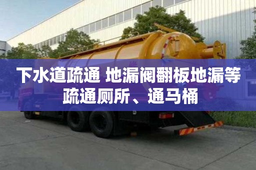 下水道疏通 地漏閥翻板地漏等 疏通廁所、通馬桶