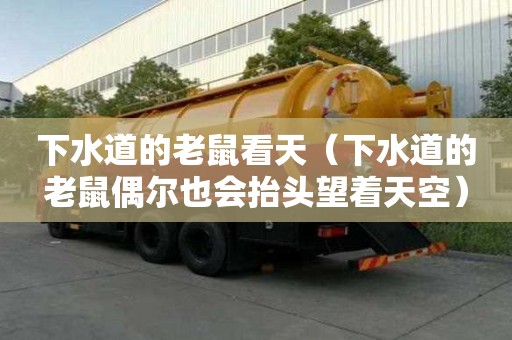 下水道的老鼠看天（下水道的老鼠偶爾也會抬頭望著天空）