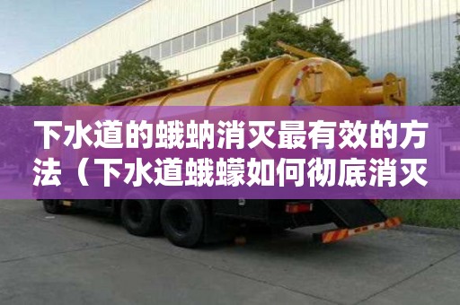 下水道的蛾蚋消滅最有效的方法（下水道蛾蠓如何徹底消滅）