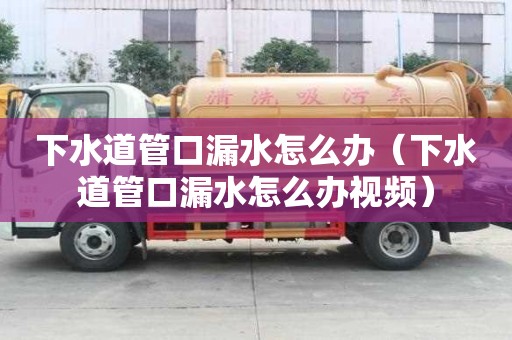 下水道管口漏水怎么辦（下水道管口漏水怎么辦視頻）