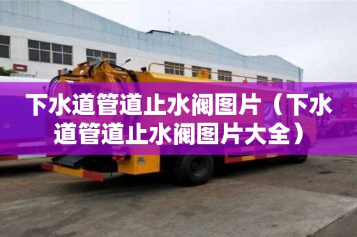 下水道管道止水閥圖片（下水道管道止水閥圖片大全）