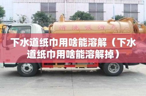 下水道紙巾用啥能溶解（下水道紙巾用啥能溶解掉）