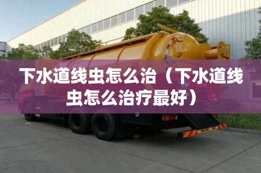下水道線蟲怎么治（下水道線蟲怎么治療最好）