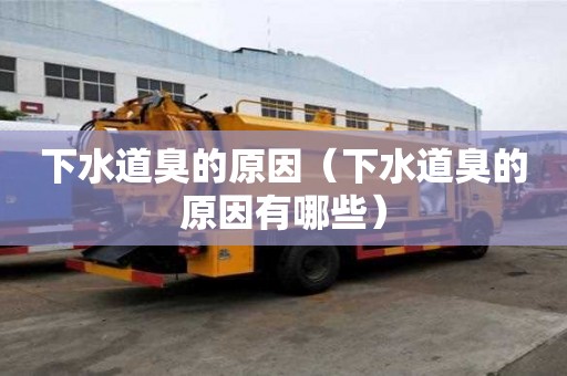 下水道臭的原因（下水道臭的原因有哪些）
