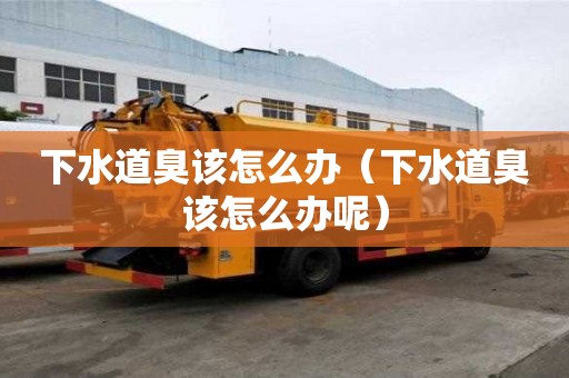 下水道臭該怎么辦（下水道臭該怎么辦呢）