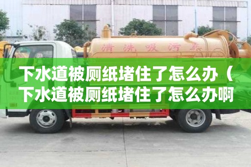 下水道被廁紙堵住了怎么辦（下水道被廁紙堵住了怎么辦啊）