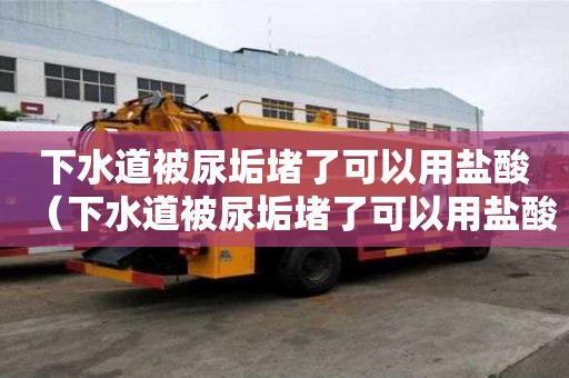 下水道被尿垢堵了可以用鹽酸（下水道被尿垢堵了可以用鹽酸嗎）