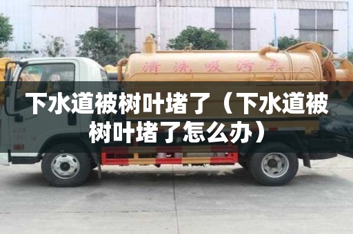 下水道被樹葉堵了（下水道被樹葉堵了怎么辦）
