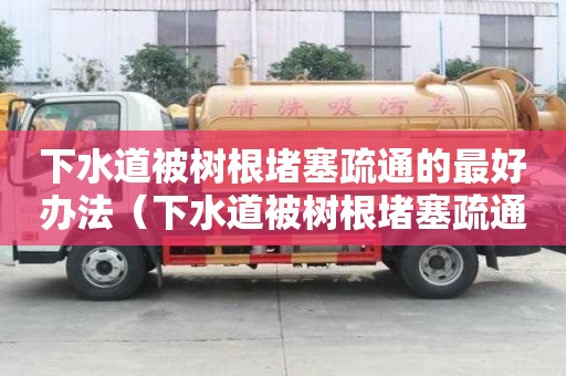 下水道被樹根堵塞疏通的最好辦法（下水道被樹根堵塞疏通的最好辦法圖片）