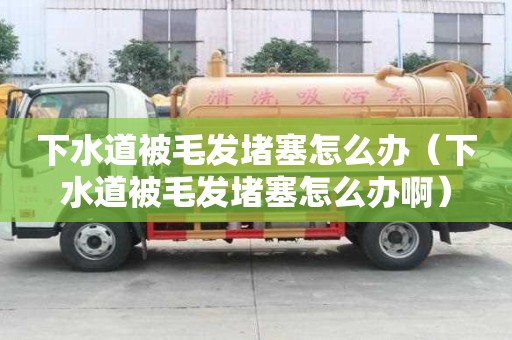下水道被毛發堵塞怎么辦（下水道被毛發堵塞怎么辦啊）