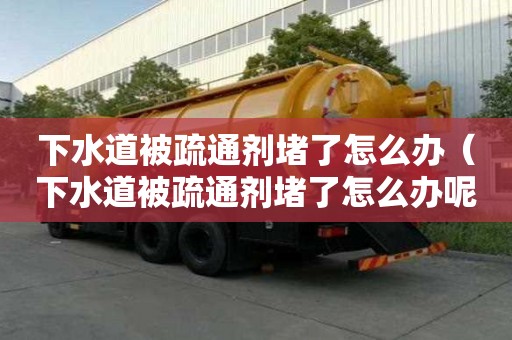 下水道被疏通劑堵了怎么辦（下水道被疏通劑堵了怎么辦呢）