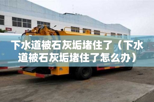 下水道被石灰垢堵住了（下水道被石灰垢堵住了怎么辦）