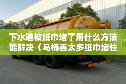 下水道被紙巾堵了用什么方法能解決（馬桶丟太多紙巾堵住了怎么辦）