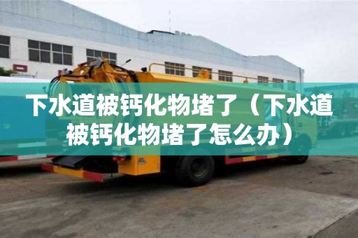 下水道被鈣化物堵了（下水道被鈣化物堵了怎么辦）