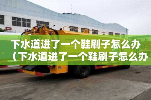下水道進了一個鞋刷子怎么辦（下水道進了一個鞋刷子怎么辦啊）