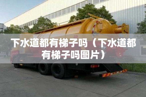 下水道都有梯子嗎（下水道都有梯子嗎圖片）