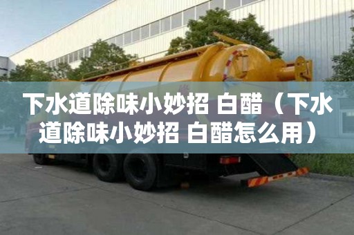 下水道除味小妙招 白醋（下水道除味小妙招 白醋怎么用）