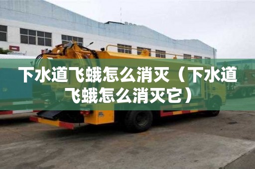 下水道飛蛾怎么消滅（下水道飛蛾怎么消滅它）