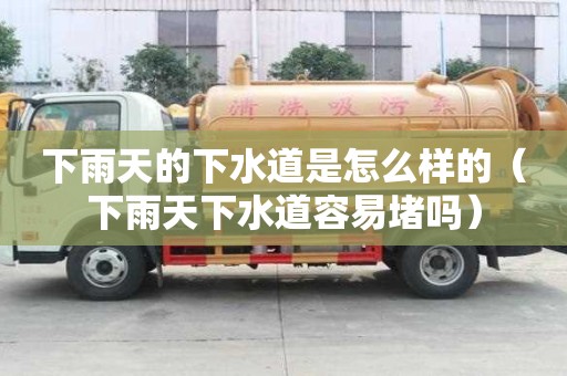 下雨天的下水道是怎么樣的（下雨天下水道容易堵嗎）