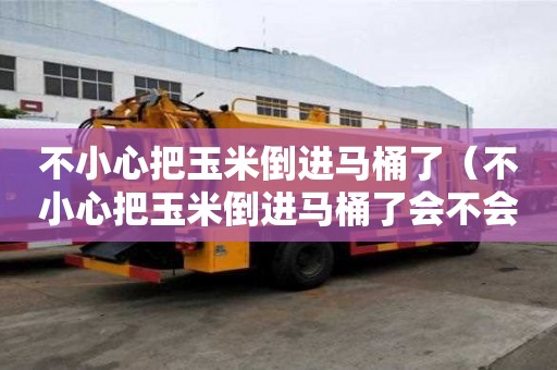 不小心把玉米倒進馬桶了（不小心把玉米倒進馬桶了會不會被堵住）