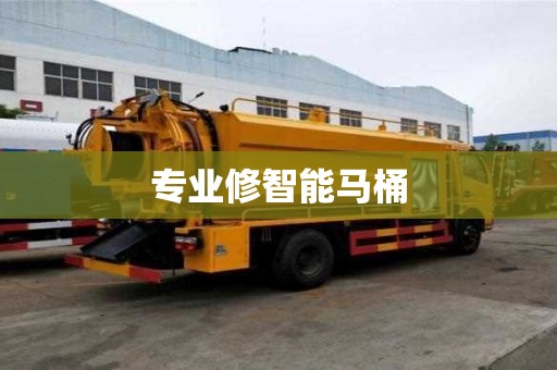 專業(yè)修智能馬桶