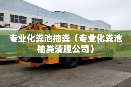 專業(yè)化糞池抽糞（專業(yè)化糞池抽糞清理公司）