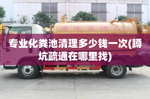 專業化糞池清理多少錢一次(蹲坑疏通在哪里找)