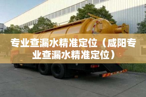 專業(yè)查漏水精準(zhǔn)定位（咸陽專業(yè)查漏水精準(zhǔn)定位）