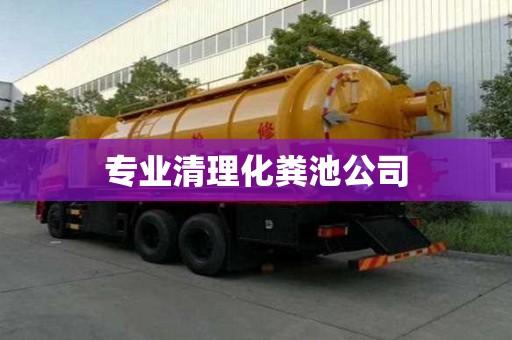 專業(yè)清理化糞池公司