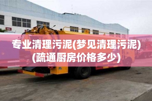 專業(yè)清理污泥(夢見清理污泥)(疏通廚房價格多少) 專業(yè)清理污泥(夢見清理污泥)(疏通廚房價格多少)