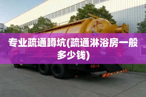 專業疏通蹲坑(疏通淋浴房一般多少錢)