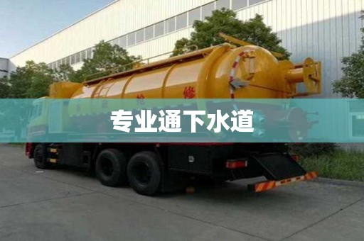 專業通下水道