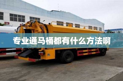專業(yè)通馬桶都有什么方法啊
