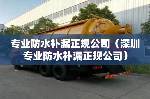 專業防水補漏正規公司（深圳專業防水補漏正規公司）