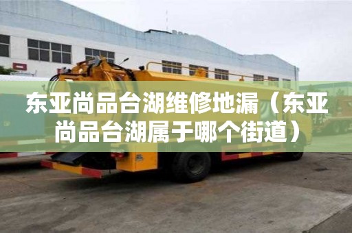 東亞尚品臺湖維修地漏（東亞尚品臺湖屬于哪個街道）