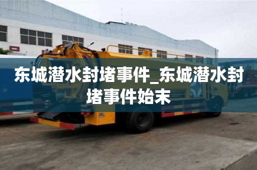東城潛水封堵事件_東城潛水封堵事件始末