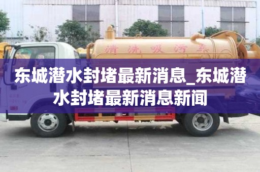 東城潛水封堵最新消息_東城潛水封堵最新消息新聞