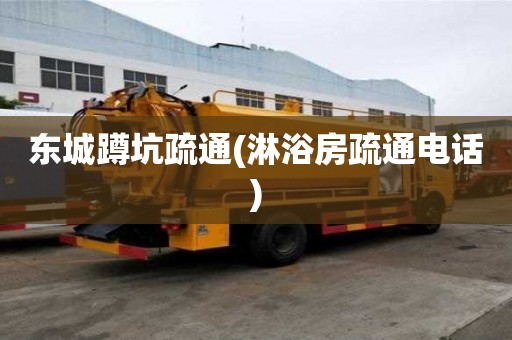東城蹲坑疏通(淋浴房疏通電話)