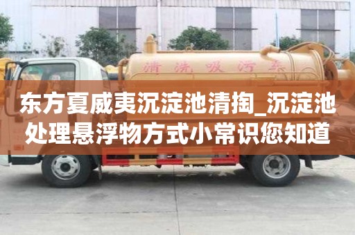 東方夏威夷沉淀池清掏_沉淀池處理懸浮物方式小常識(shí)您知道嗎