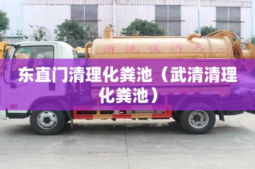 東直門清理化糞池（武清清理化糞池）