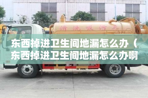 東西掉進衛生間地漏怎么辦（東西掉進衛生間地漏怎么辦啊）