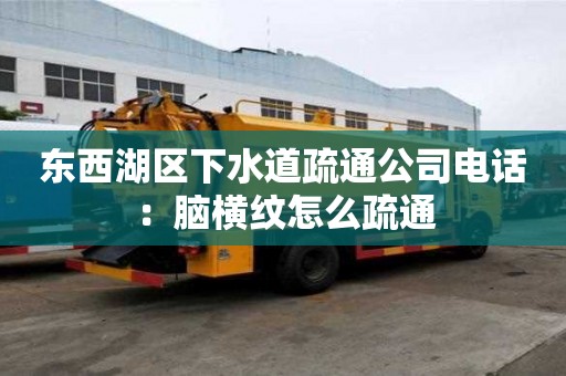 東西湖區下水道疏通公司電話：腦橫紋怎么疏通