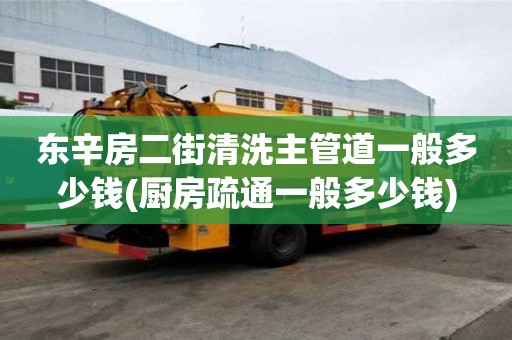 東辛房二街清洗主管道一般多少錢(廚房疏通一般多少錢)