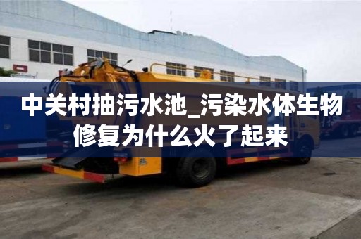 中關村抽污水池_污染水體生物修復為什么火了起來