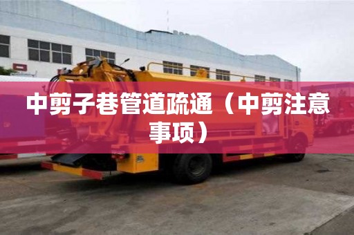 中剪子巷管道疏通（中剪注意事項(xiàng)）