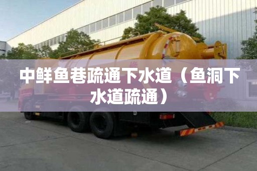 中鮮魚巷疏通下水道（魚洞下水道疏通）