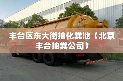 豐臺區東大街抽化糞池（北京豐臺抽糞公司）