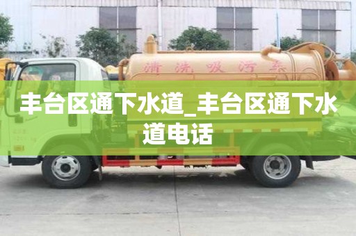 豐臺區(qū)通下水道_豐臺區(qū)通下水道電話
