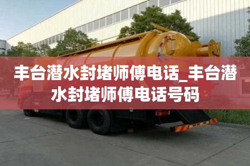 豐臺潛水封堵師傅電話_豐臺潛水封堵師傅電話號碼