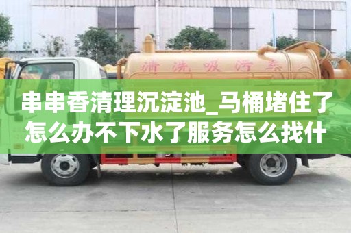 串串香清理沉淀池_馬桶堵住了怎么辦不下水了服務怎么找什么